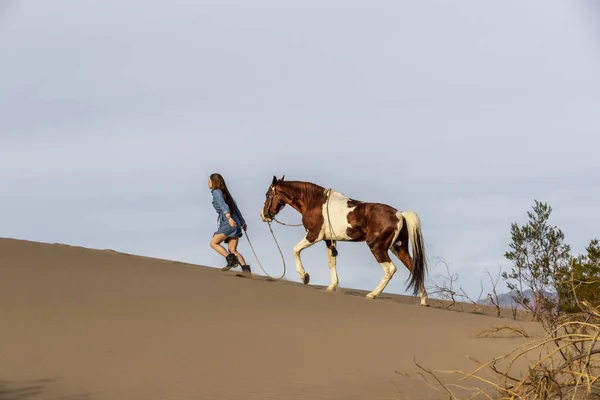 Una encantadora modelo morena pasea su caballo por el desierto en un día de verano — Foto de Stock