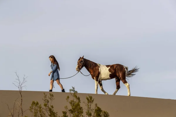 Una encantadora modelo morena pasea su caballo por el desierto en un día de verano — Foto de Stock