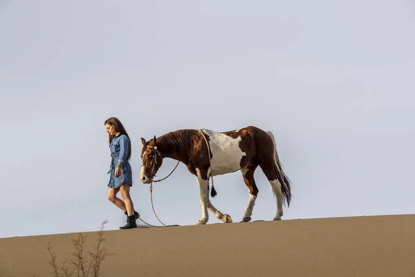 A Lovely Brunette Model Walks Her Horse Through The Desert On A Summers Day — Stock Photo, Image