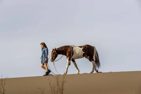 Una encantadora modelo morena pasea su caballo por el desierto en un día de verano — Foto de Stock