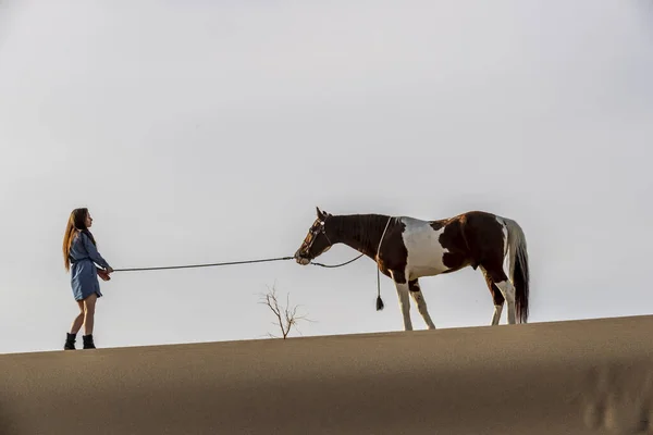 Una encantadora modelo morena pasea su caballo por el desierto en un día de verano — Foto de Stock