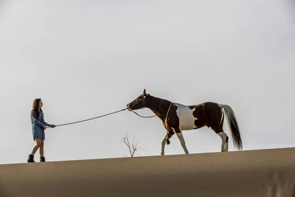 Una encantadora modelo morena pasea su caballo por el desierto en un día de verano — Foto de Stock