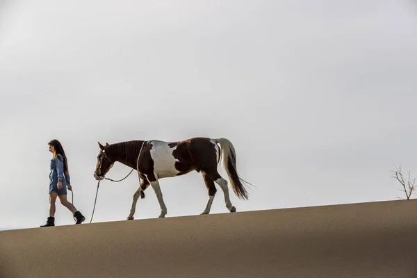 Una encantadora modelo morena pasea su caballo por el desierto en un día de verano — Foto de Stock