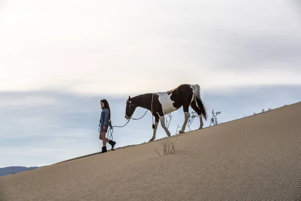 Una encantadora modelo morena pasea su caballo por el desierto en un día de verano — Foto de Stock