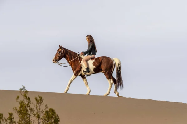 어느 여름날, 사막을 말을 타고 다니는 아름다운 갈색 머리 황새 의모 형 — 스톡 사진