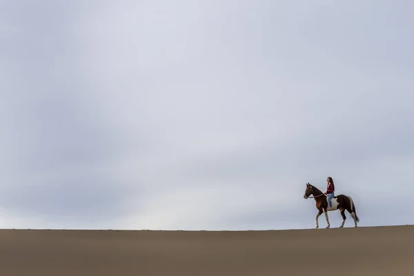 En härlig brunett modell går sin häst genom öknen på en sommardag — Stockfoto
