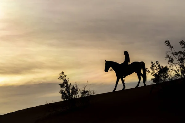 Μια όμορφη μελαχρινή μοντέλο περπατά το άλογό της μέσα από την έρημο σε μια καλοκαιρινή μέρα — Φωτογραφία Αρχείου
