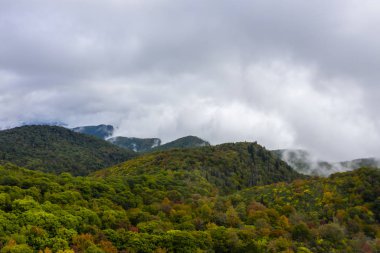 Bir sonbahar günü Carolina dağlarında bir şelale kurulur.