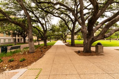 27 Mayıs 2020 - College Station, Texas, ABD: 27 Mayıs 2020 - College Station, Texas, ABD: Texas A & M University, Teksas 'ta bulunan bir devlet araştırma üniversitesidir.. 
