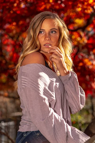 Ein Hinreißendes Blondes Model Genießt Einen Herbsttag Freien Einem Park — Stockfoto