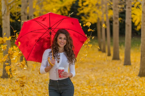 Una Bella Modella Bruna Con Fogliame Giallo Caduta — Foto Stock