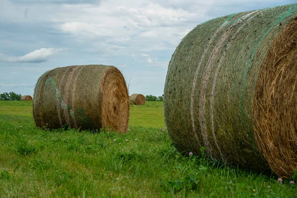 Beautiful Landscape Straw Bales End Summer — Stock Photo, Image