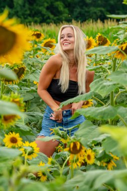 Sarışın bir model, yaz gününün tadını çıkarırken ayçiçeği tarlasında poz veriyor.