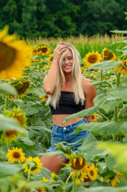 Sarışın bir model, yaz gününün tadını çıkarırken ayçiçeği tarlasında poz veriyor.