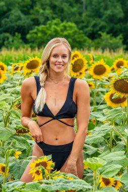 Sarışın bir model, yaz gününün tadını çıkarırken ayçiçeği tarlasında poz veriyor.