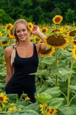 Sarışın bir model, yaz gününün tadını çıkarırken ayçiçeği tarlasında poz veriyor.