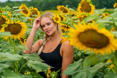 Sarışın bir model, yaz gününün tadını çıkarırken ayçiçeği tarlasında poz veriyor.