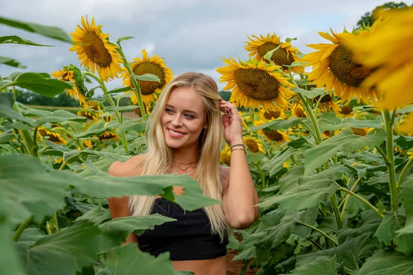 Una Hermosa Modelo Rubia Posa Aire Libre Campo Girasoles Mientras —  Fotos de Stock