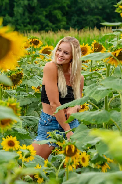 Una Hermosa Modelo Rubia Posa Aire Libre Campo Girasoles Mientras —  Fotos de Stock