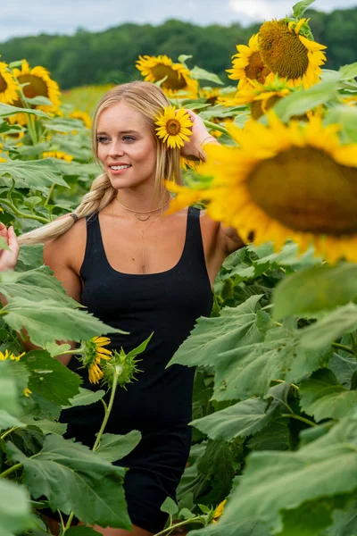 Sarışın bir model, yaz gününün tadını çıkarırken ayçiçeği tarlasında poz veriyor.