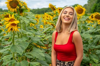 Sarışın bir model, yaz gününün tadını çıkarırken ayçiçeği tarlasında poz veriyor.