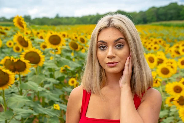 Una Splendida Giovane Modella Bionda Posa All Aperto Campo Girasoli — Foto Stock