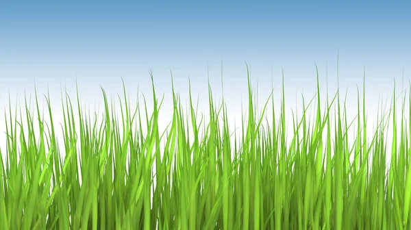 An illustration of a tall grass. — Stock Photo, Image