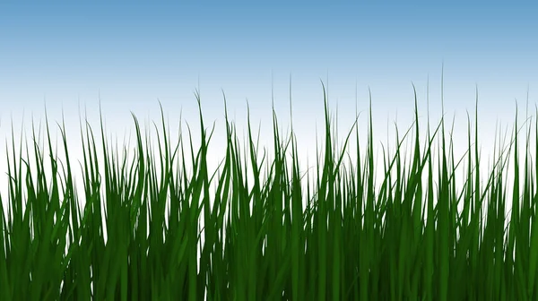 키 큰 잔디의 그림. — 스톡 사진