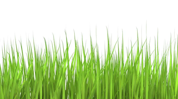 En illustration av ett högt gräs. — Stockfoto