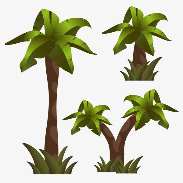 Arbres vecteurs palmier . — Image vectorielle