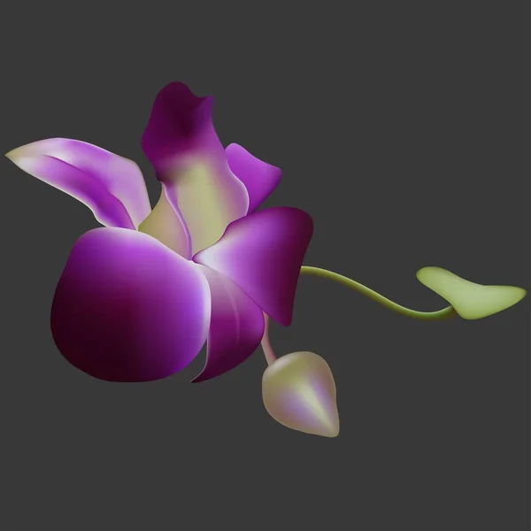Realistická vektorová orchidej. — Stockový vektor