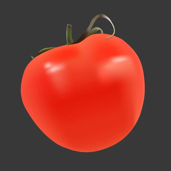 Illustration vectorielle d'une tomate. — Image vectorielle