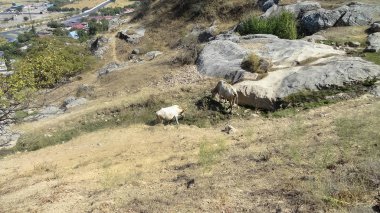 Fotoğraf doğa dağ.