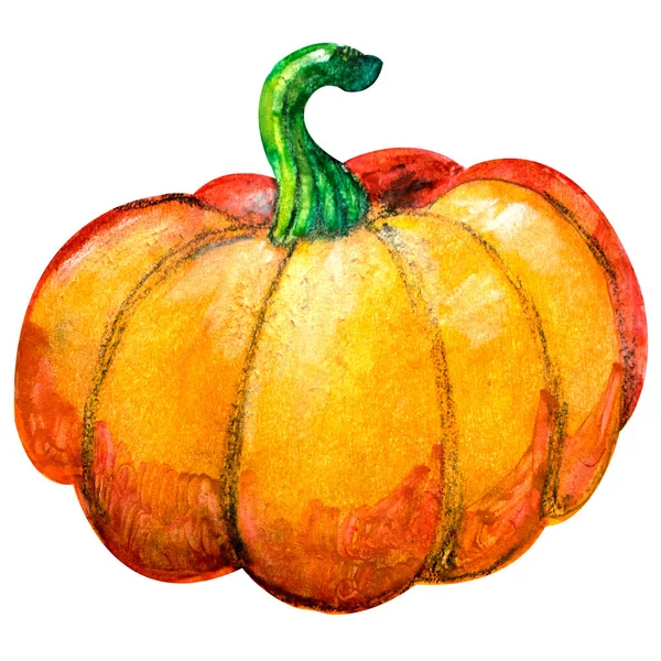 Illustrazione della zucca . — Foto Stock