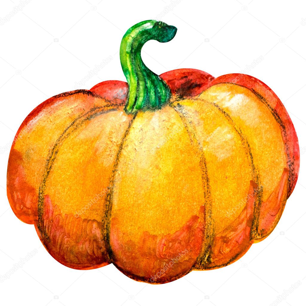 Illustration of pumpkin.