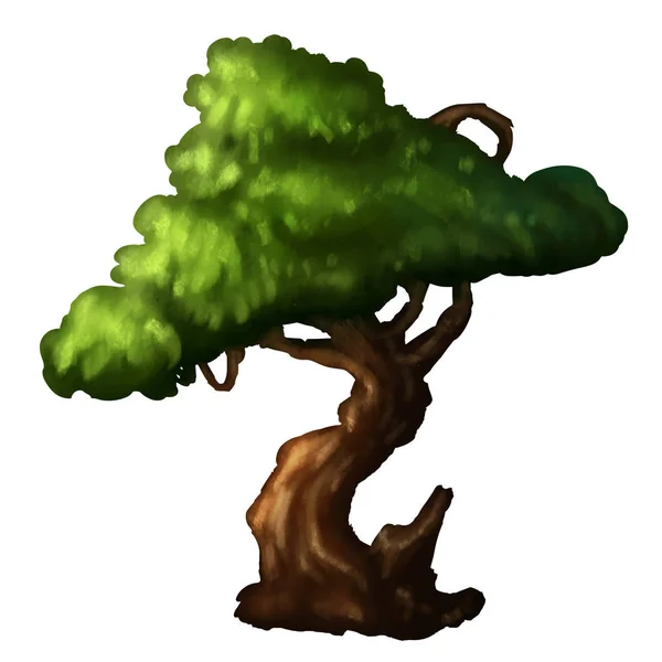 Imágenes: roble dibujo | Dibujo de árbol de roble en ilustración de