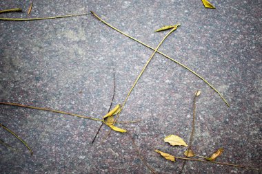 taş doku fotoğraf.