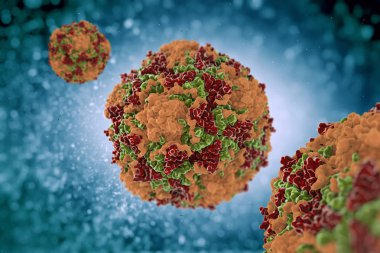 Coxsackievirus biraz iyi mide ve bağırsak insanların yayılır da enterovirüs biridir.