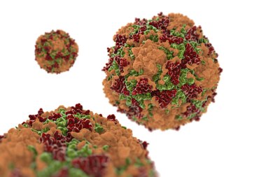 Coxsackievirus biraz iyi mide ve bağırsak insanların yayılır da enterovirüs biridir.
