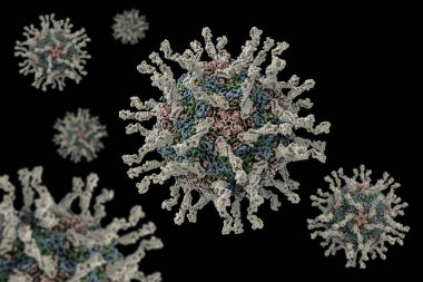 İnsan poliovirus bilgisayar modeli. Poliovirus çocuk bozar ve felç olması veya Ölüm felci, şiddetli vakalarda sinir sistemi zarar bir hastalığı neden olur.