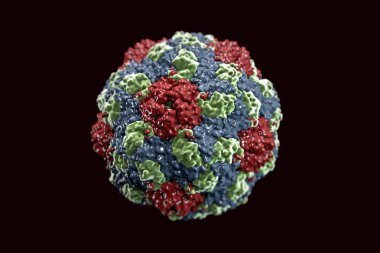 İnsan Parechovirus yapısı. Parechoviruses gastrointestinal bozukluklar ensefalit için değişen hastalıklar neden insan patojenleri vardır.
