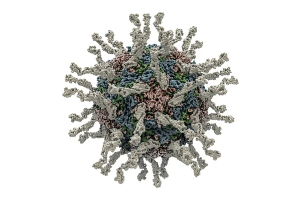 Компьютерная Модель Полиовируса Человека Полиовирус Поражает Детей Вызывает Полиомиелит Заболевание — стоковое фото