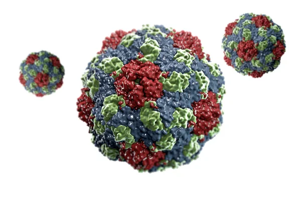 The Structure of Human Parechovirus. Parechoviruses are human pathogens that cause diseases ranging from gastrointestinal disorders to encephalitis.