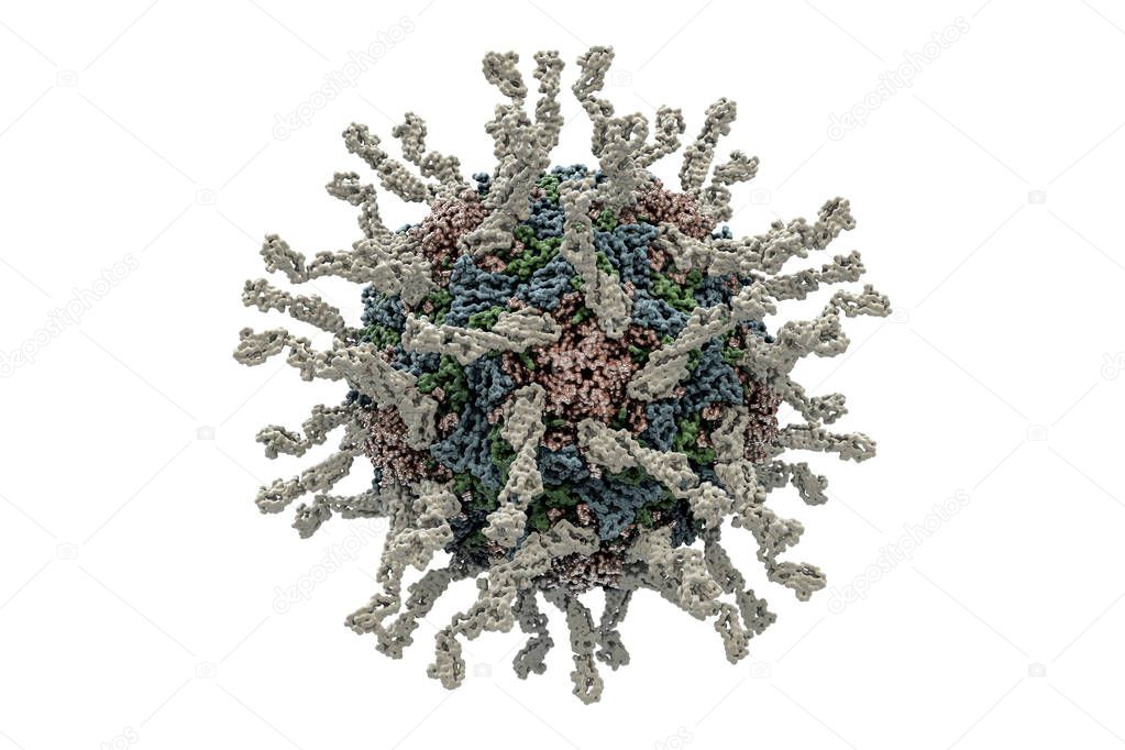 Human poliovirus computer model. Poliovirus infects children and causes poliomyelitis, a disease which in severe cases damages the nervous system, leading to paralysis or death.