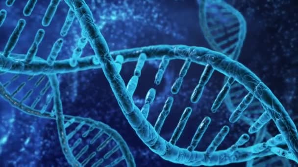 人間の細胞の Dna のループ回転 — ストック動画