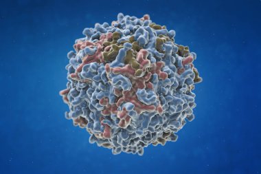 Hepatit virüsü. Hepatit B virüsü yapısı. 3D çizim.
