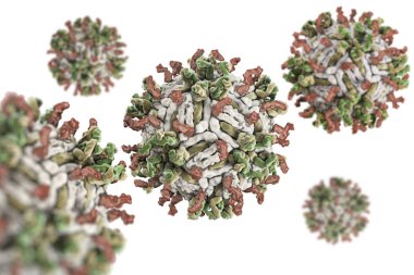 Dang virüs. engue bir akut viral hastalığı bulaşıcı ateş. Dang virüs (Pdb 4c2i) serotip 1 Fab ile complexed yapısı insan antikoru parçaları.