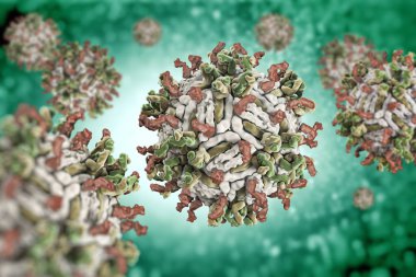 Dang virüs. engue bir akut viral hastalığı bulaşıcı ateş. Dang virüs (Pdb 4c2i) serotip 1 Fab ile complexed yapısı insan antikoru parçaları.