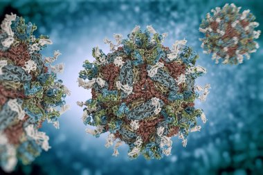Dang virüs. engue bir akut viral hastalığı bulaşıcı ateş. Dang virüs (Pdb 4c2i) serotip 1 Fab ile complexed yapısı insan antikoru parçaları.