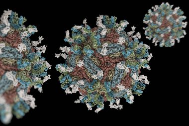 Dang virüs. engue bir akut viral hastalığı bulaşıcı ateş. Dang virüs (Pdb 4c2i) serotip 1 Fab ile complexed yapısı insan antikoru parçaları.